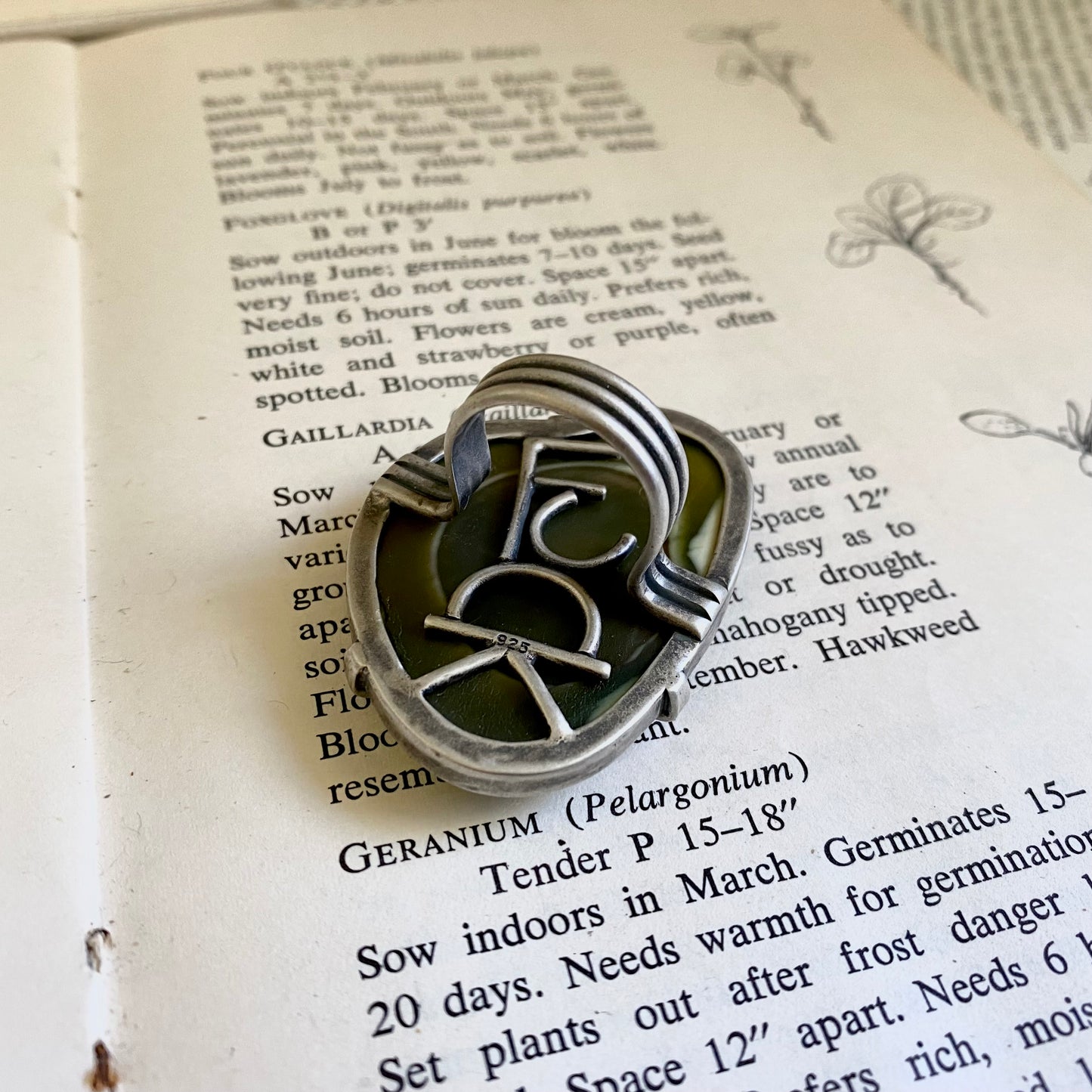 Fancy F*ck Green Imperial Jasper Ring - Semi-Custom